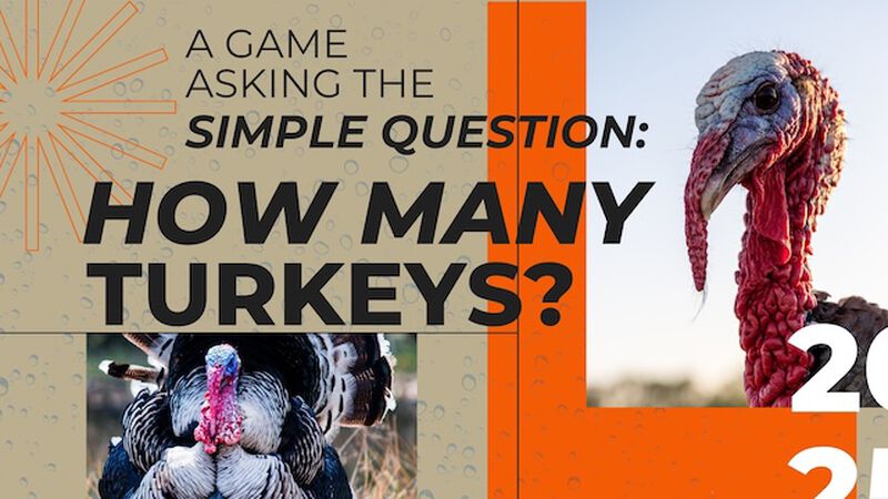 How Many Turkeys?